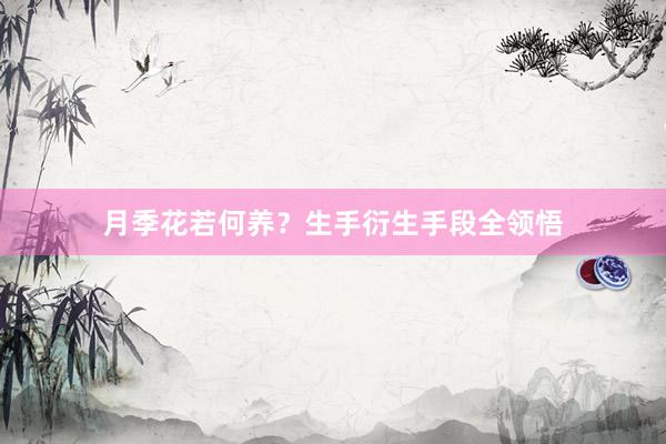 月季花若何养？生手衍生手段全领悟