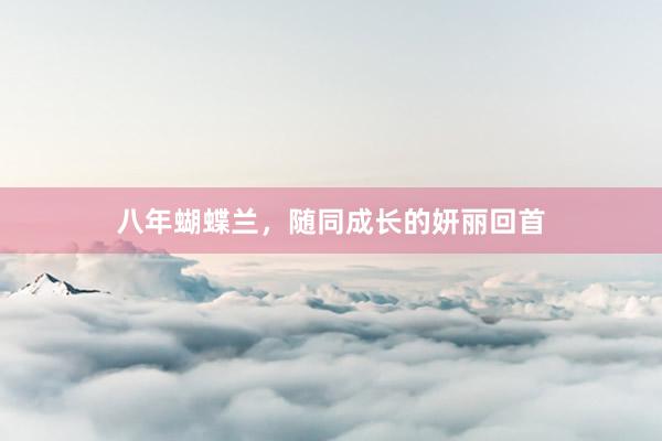 八年蝴蝶兰，随同成长的妍丽回首