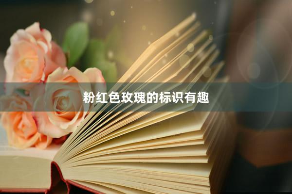 粉红色玫瑰的标识有趣