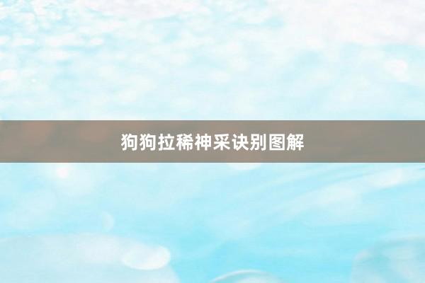 狗狗拉稀神采诀别图解