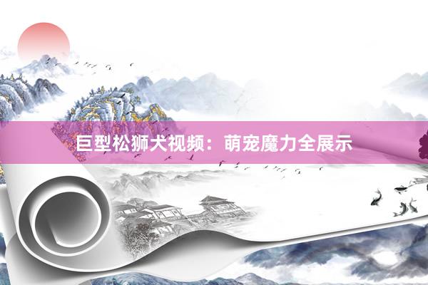 巨型松狮犬视频：萌宠魔力全展示