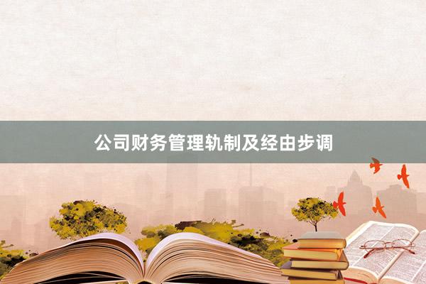 公司财务管理轨制及经由步调